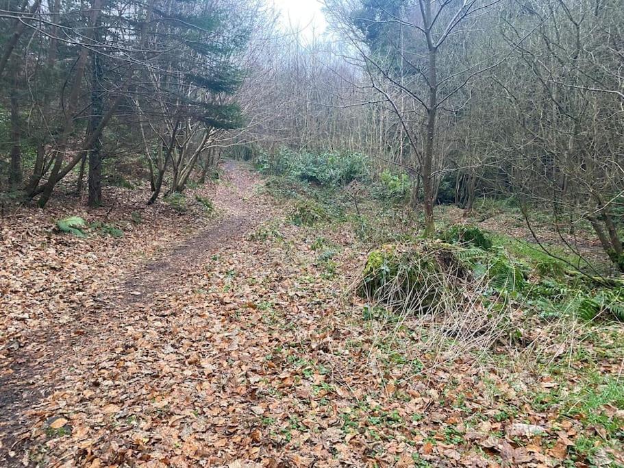 Forest View - Castlewellan, County Down Belfast Exterior foto
