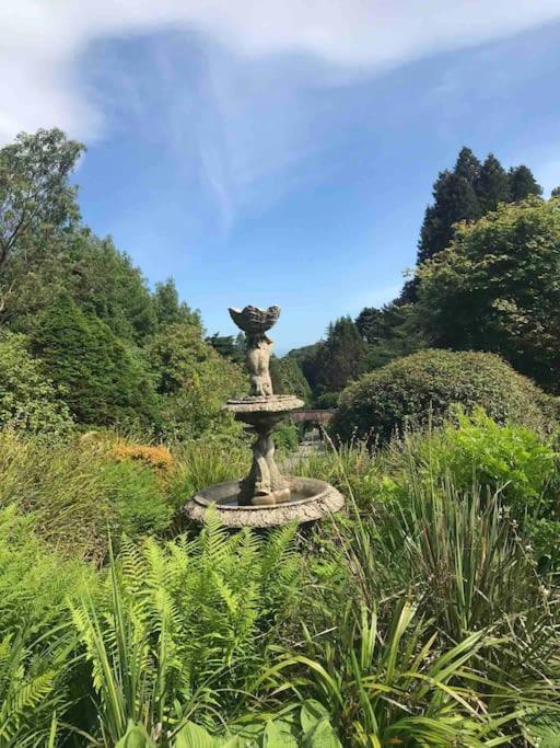 Forest View - Castlewellan, County Down Belfast Exterior foto