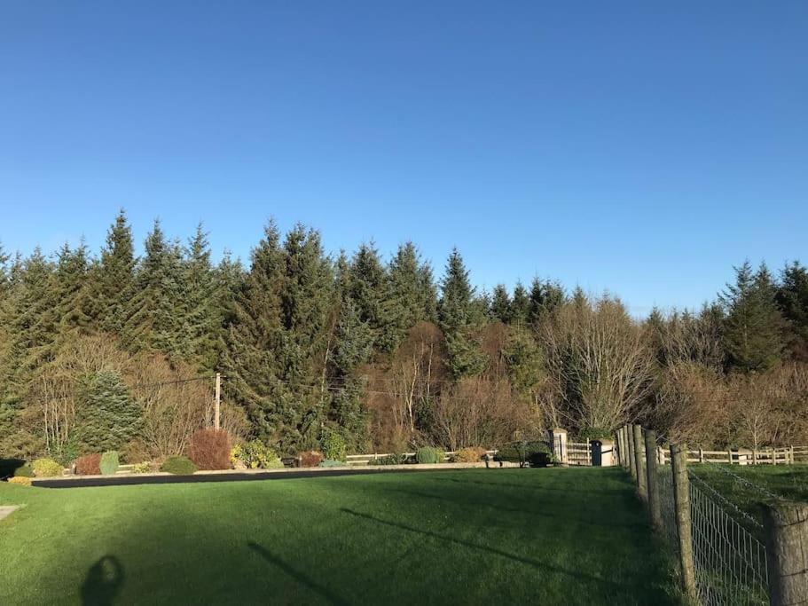 Forest View - Castlewellan, County Down Belfast Exterior foto