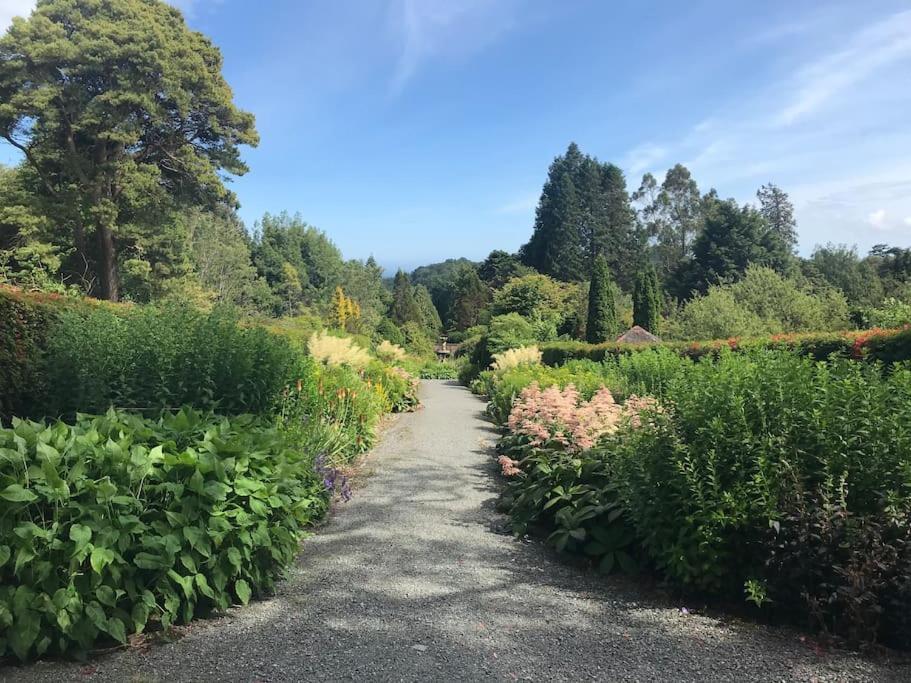 Apartamento Forest View - Castlewellan, County Down Belfast Exterior foto